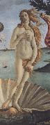 The Birth of Venus (mk36) Sandro Botticelli